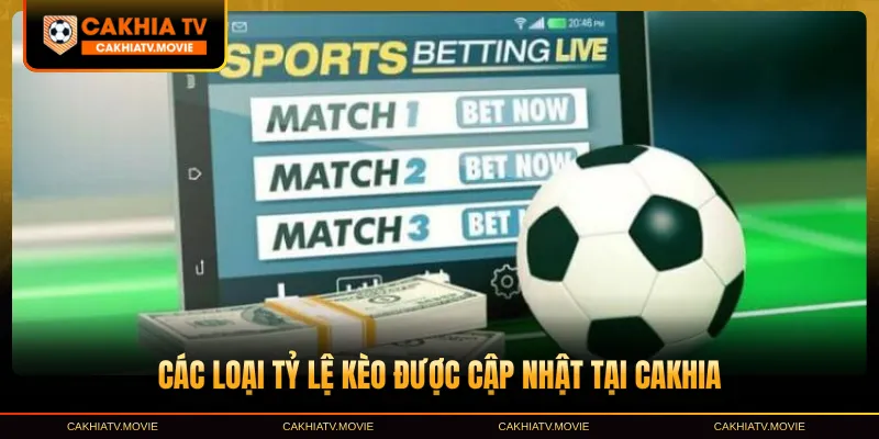 Các loại tỷ lệ kèo được cập nhật tại Cakhia